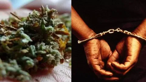 Two held with OG Kush Ganja in Chennai ECR