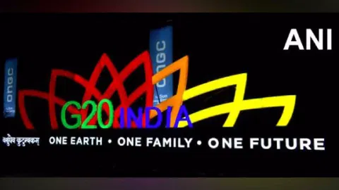 G20 theme lighted up at Dhaula Kuan (Photo/ANI)