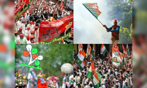 Representative image (ANI)
