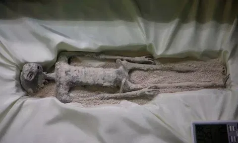  A tiny body of a specimen