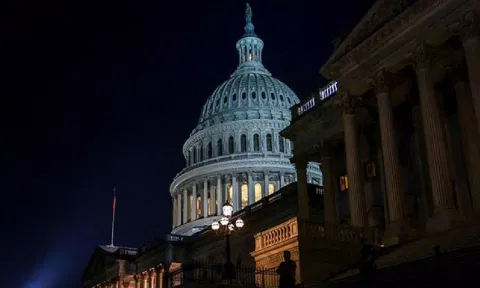 United States Senate (ANI)