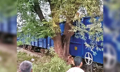 Goods train derails near Kanchi stn, no casualties