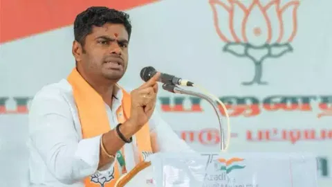 TN BJP president K Annamalai (File)