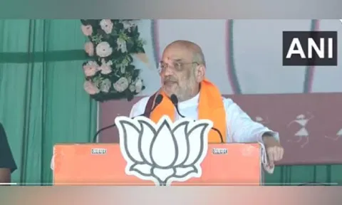 Amit Shah (ANI)
