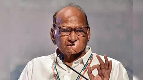 Nationalist Congress Party chief Sharad Pawar 