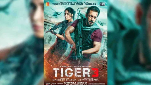 Tiger 3 (Photo/PTI)