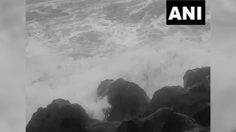 Cyclone Michaung (Image: ANI)