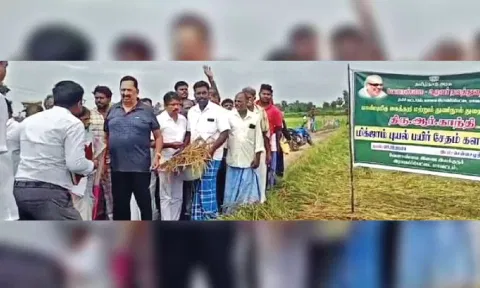 Minister R Gandhi inspecting the crop damages due to Cyclone Michaung in Ranipet on Tuesday