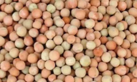 Peas