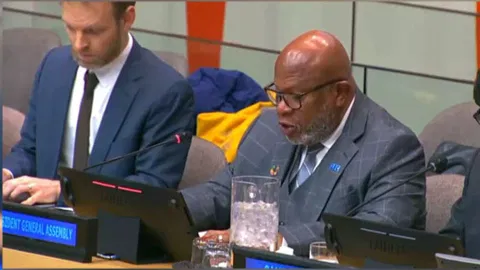  United Nations General Assembly (UNGA) President Dennis Francis (ANI)