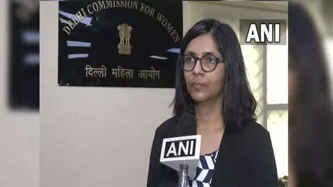 DCW issues notice to Delhi govt over ‘missing streetlights’ at Lalita Park bus stand
