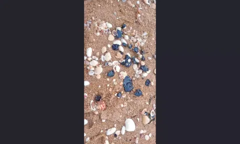 Tar balls seen on Pulicat beach