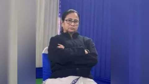  West Bengal Chief Minister Mamata Banerjee (ANI) 