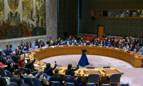 UN Security Council (IANS)