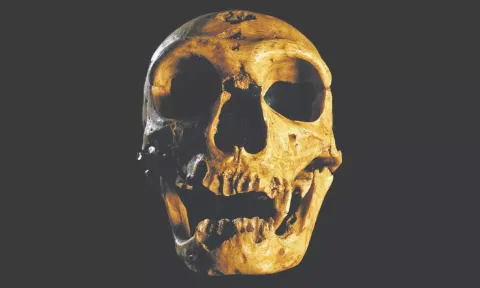 Prehistoric alarms: Morning person? Thank your Neanderthal genes