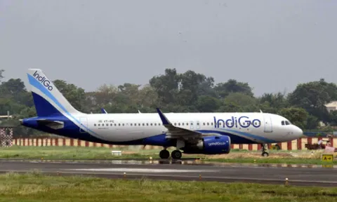 IndiGo flight (IANS)