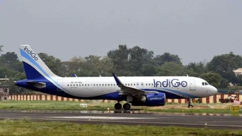 IndiGo