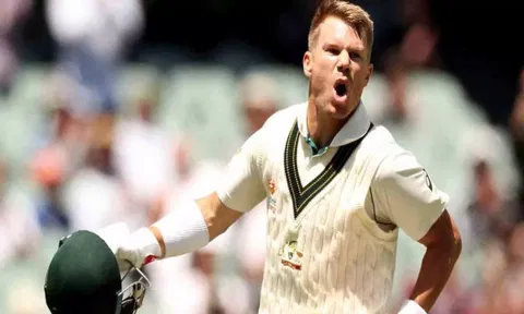 David Warner (X)
