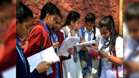 Representative Image (Photo/ANI)