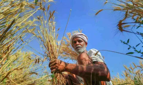Representative image (PTI)