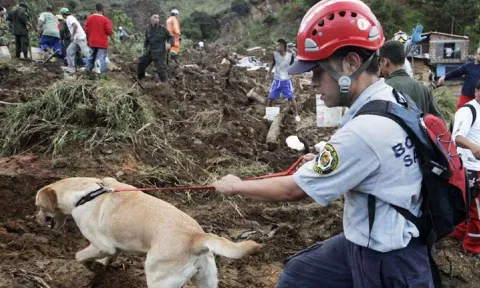 The mudslide brought on by heavy rains in northwest Colombia killed at least 34 people (Photo: Reuters)