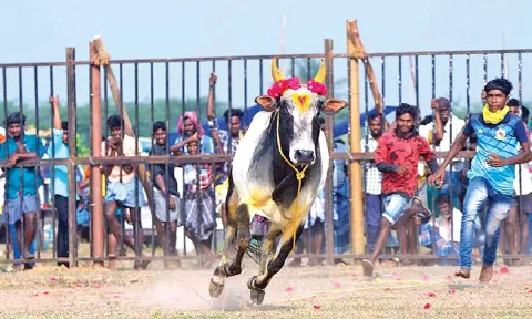 Action at Sooriyur (Justin George)