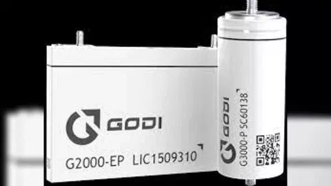 GODI India Private Ltd (Photo/IANS)