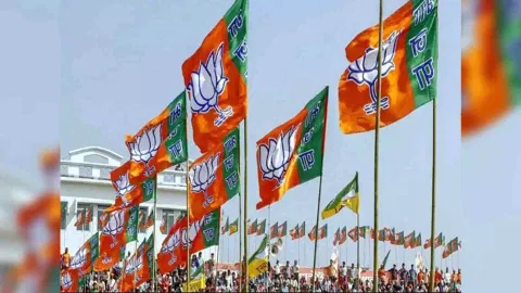Representative Image (Photo/ANI)