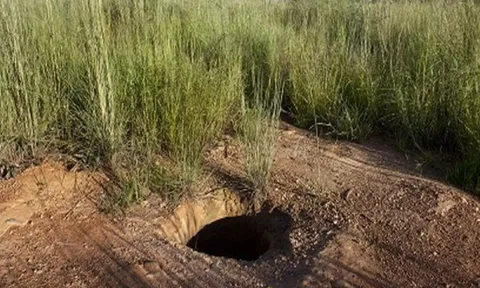 Mali gold mine (Photo: Reuters)