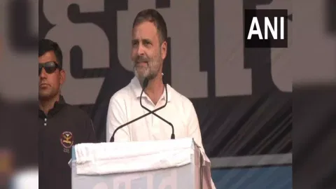 Congress leader Rahul Gandhi (ANI) 