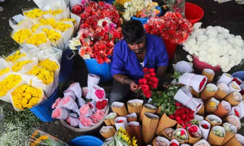 Red roses in high demand for Valentine’s Day eve at the Koyambedu flower market (Hemanathan M)