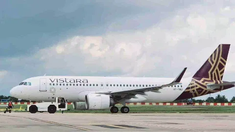  Vistara flight