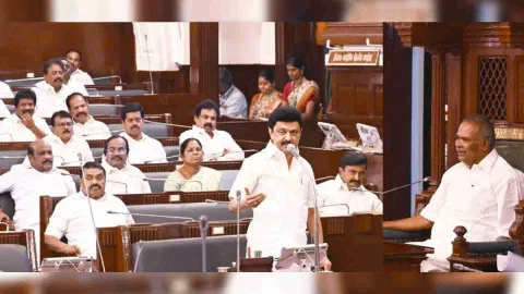  Chief Minister M K Stalin (Photo/X)