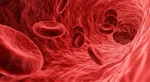 Aplastic anaemia cases high in India, cost of treatments a concern: Experts