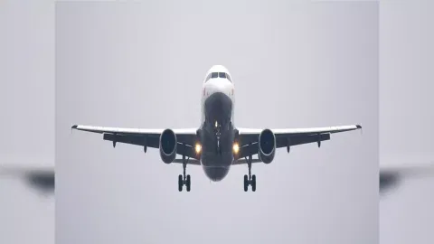 Representative Image (ANI)