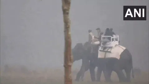 PM Modi at Kaziranga National Park (Photo/ANI)