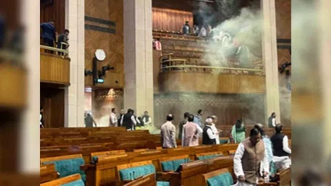 Parliament security breach (Photo/IANS)