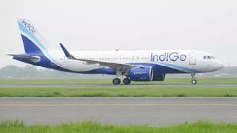 Indigo Flight