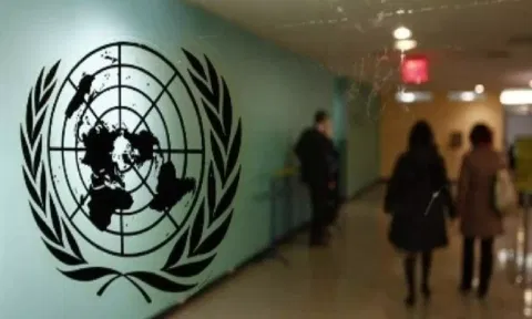 Representative Image (ANI)