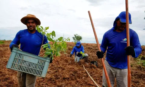 Unlikely Heroes: Climate leadership from the global south