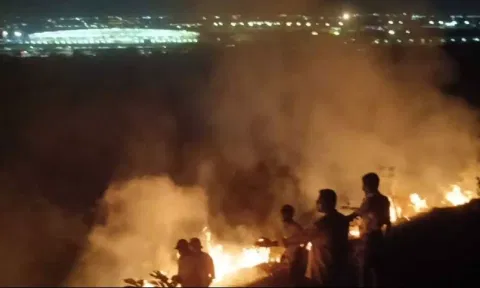 Tamil Nadu Fire and Rescue Service officials dousing the Tirusulam hills fire. Chennai airport can be seen on the top left of the photo