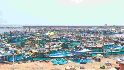 Hundreds of boats docked at the Kasimedu fishing harbour on Sunday evening (Photo: Hemanathan M)