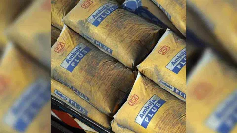 Ambuja Cements 
