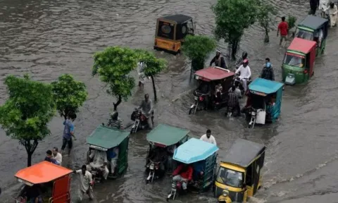 Pakistan Rain (ANI)