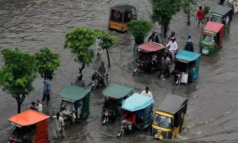 Representative Image (ANI)