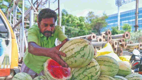 Watermelons are most sought-after this summer, but prices have been soaring every day like the mercury (Photo/Justin George)