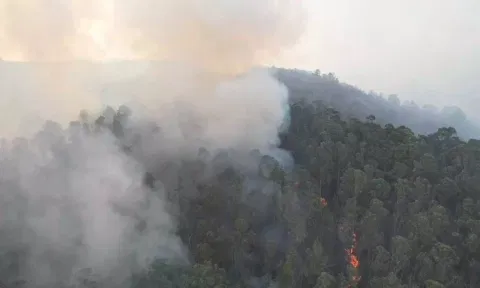 Smoke billows up on the Upper Hills of Kodaikanal after dousing the wildfire. 