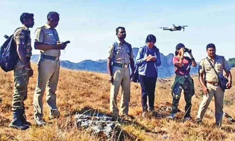 A synchronized survey of Nilgiri Tahr to estimate its population commenced in Mudumalai
