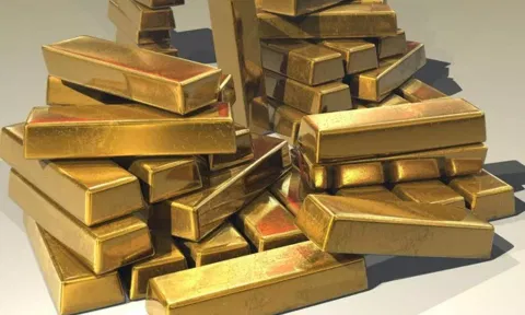 Gold (ANI)