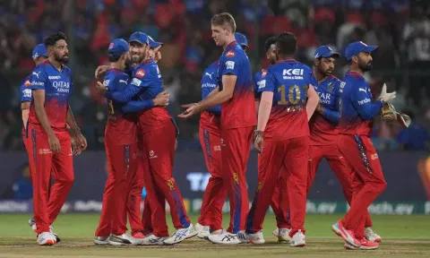 RCB players celebrates after a wicket (PTI)
